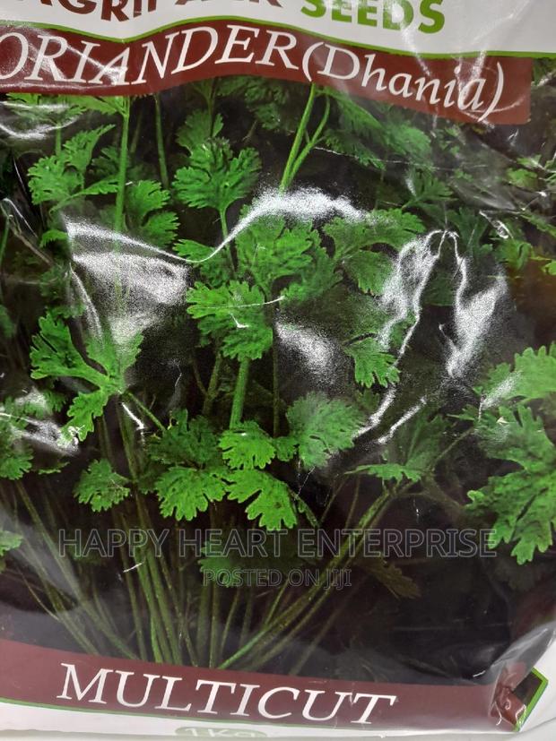 Coriander (Dhania)Multi Cult 1kg - thumbnail 5