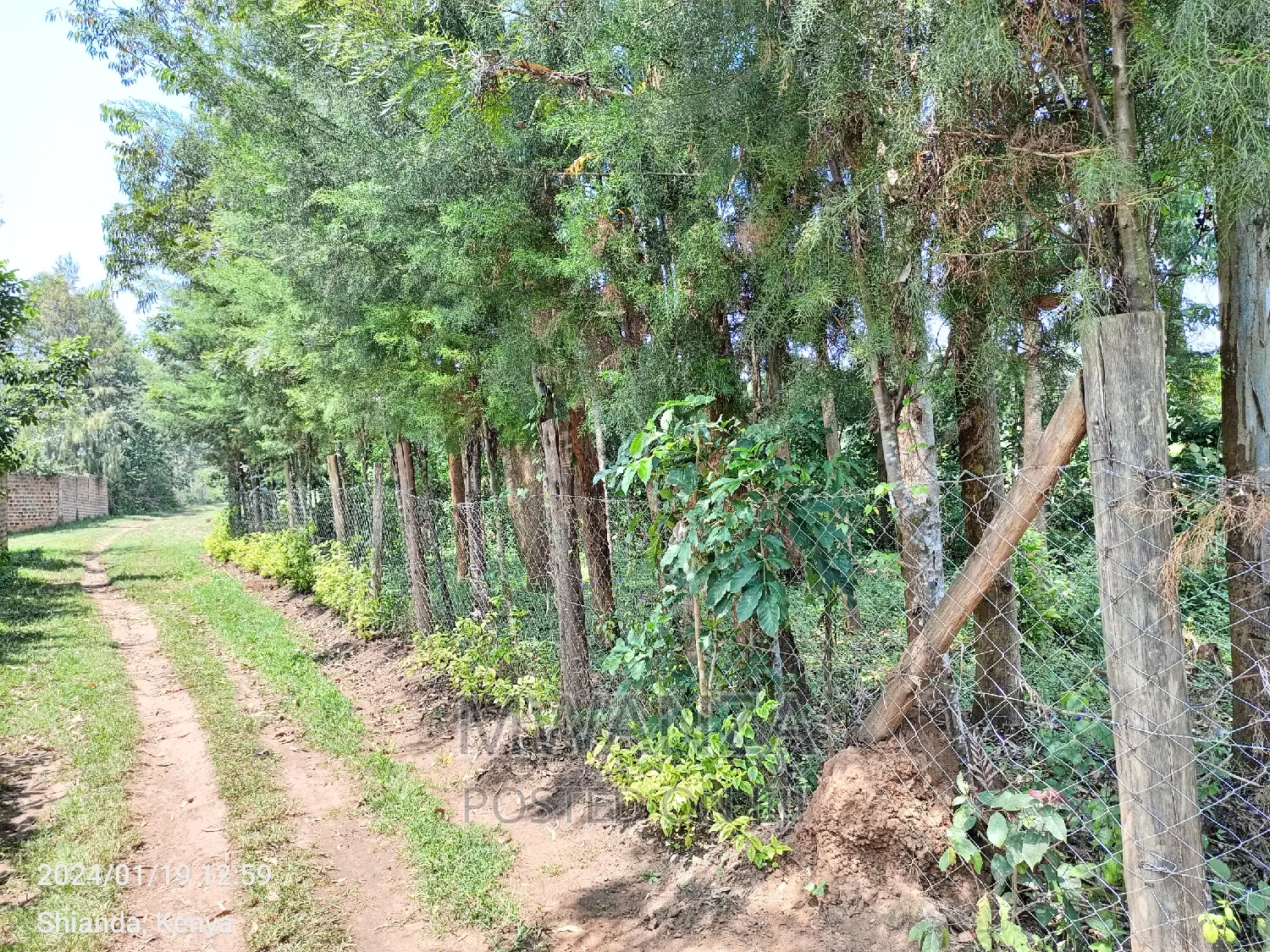 Furnished 3bdrm House in Shianda Shakhulo, Malaha/Isongo/Makunga