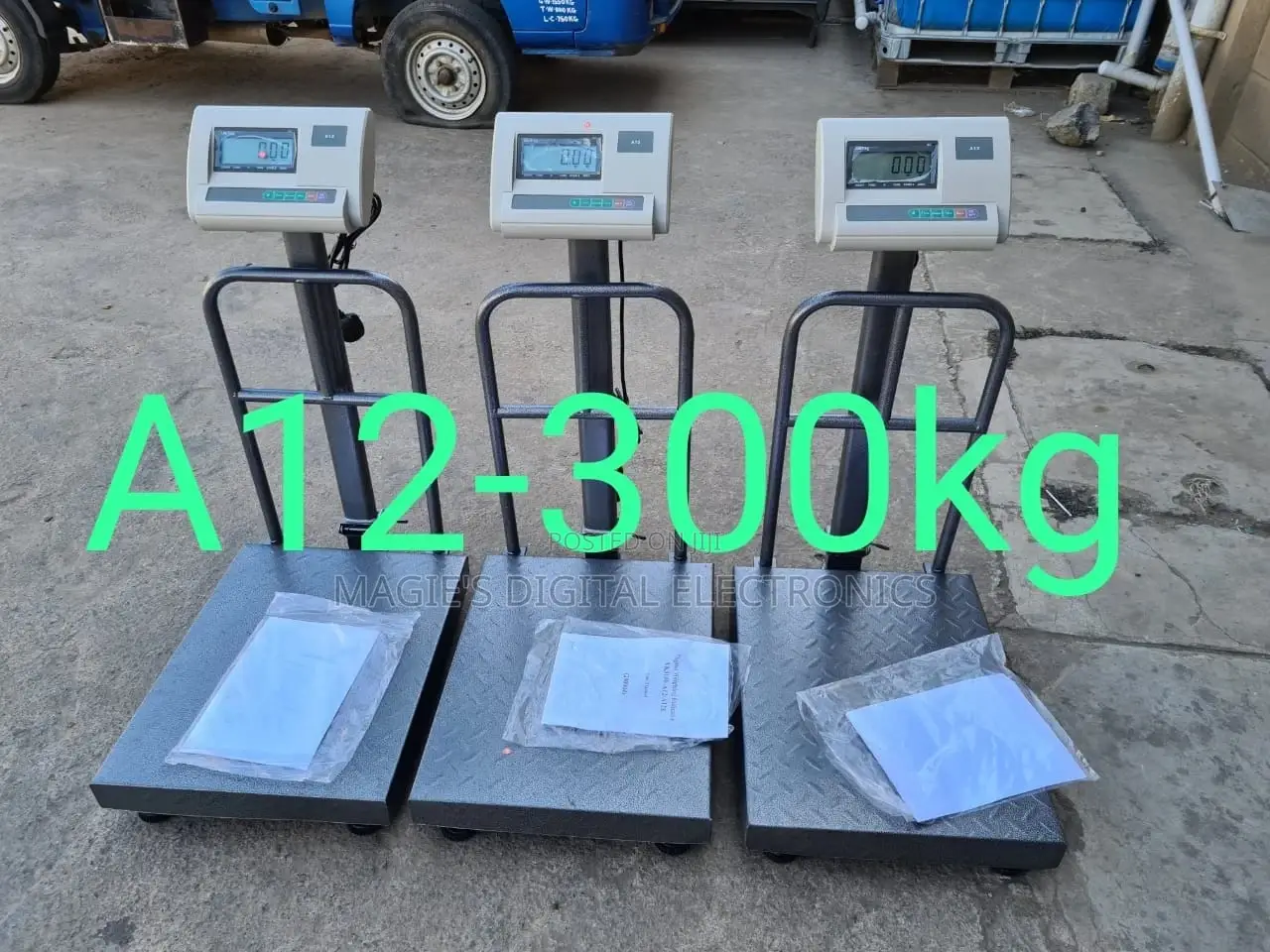 A12 Scale 300kgs Big Base