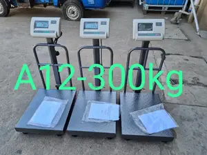 A12 Scale 300kgs Big Base