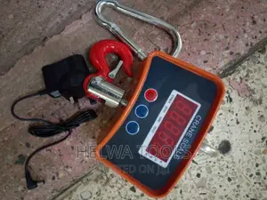 Electronic Crane Scale(,500kgs)