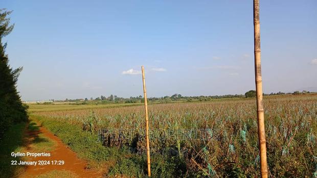 600 Acres for Sale - thumbnail 3