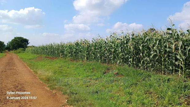 600 Acres for Sale - thumbnail 4