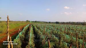 600 Acres for Sale - main view