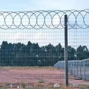 Flat Trap Razor Wire