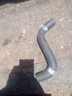 Toyota Probox Horse Pipe