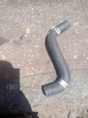 Toyota Probox Horse Pipe