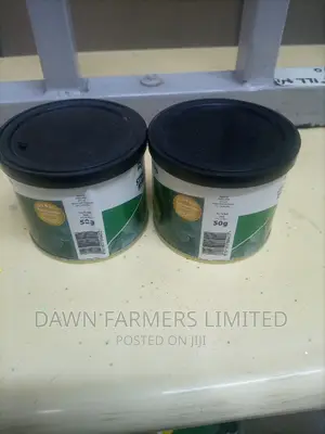Kilimo F1 Cabbage 50gms
