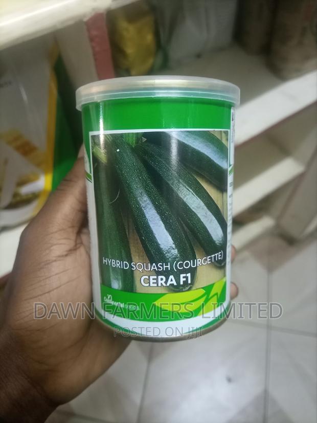 Cera Fi Courgette 100gms