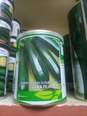 Cera F1 Courgette - main view