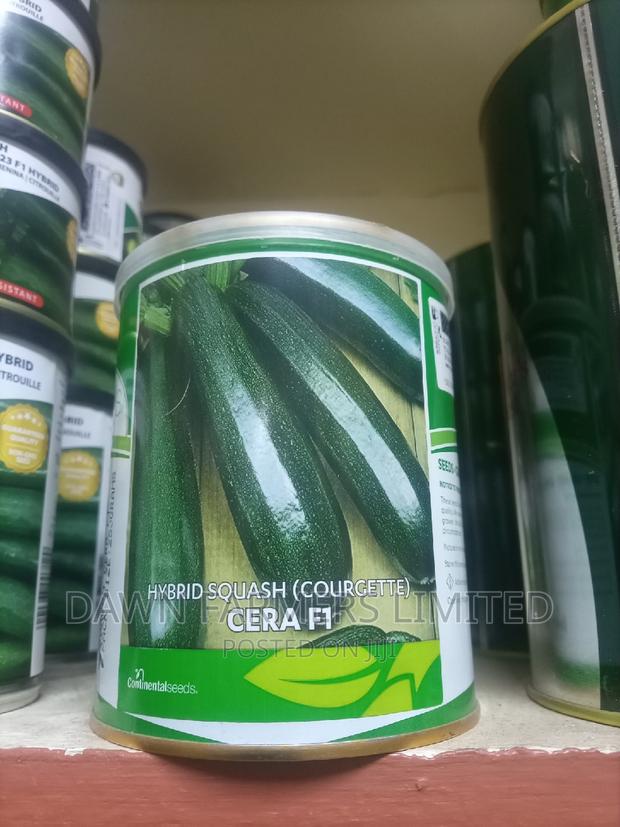 Cera F1 Courgette