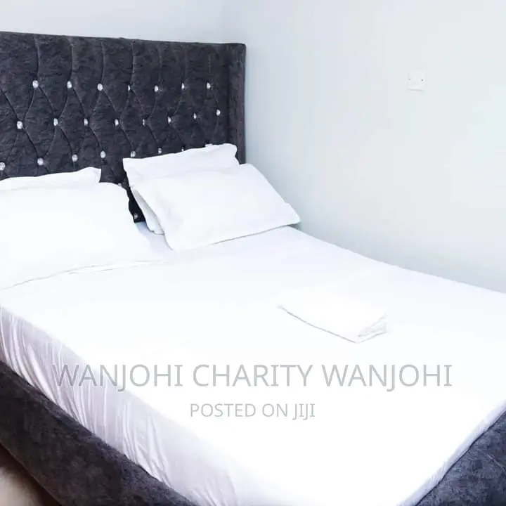 Furnished One Bedroom South B