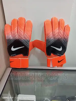 Goalkeeper Gloves NIKE Professional Standard