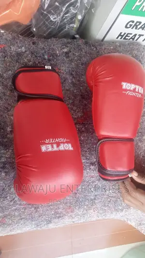 Top Ten Fighter Boxing Gloves
