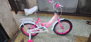 Ladybird Bike Pink