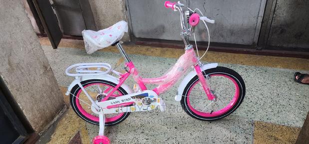 Ladybird Bike Pink