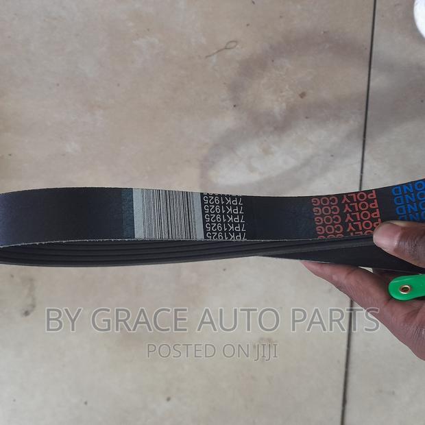 Fanbelts/Alternature Belt 7pk 1925