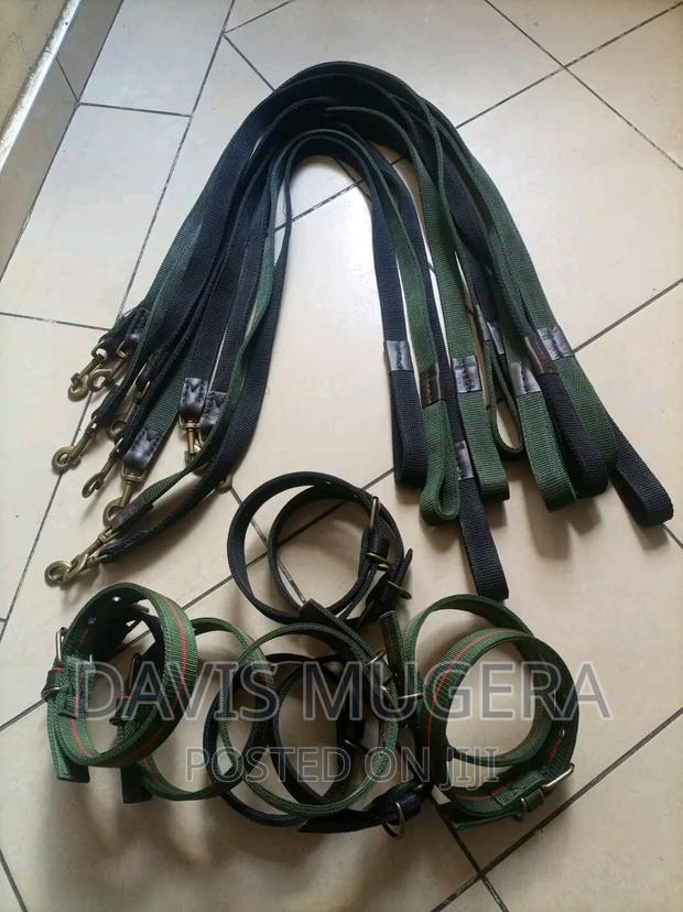 Strong Durable Dog Leash 1.5m Long - Synthetic Material - main view