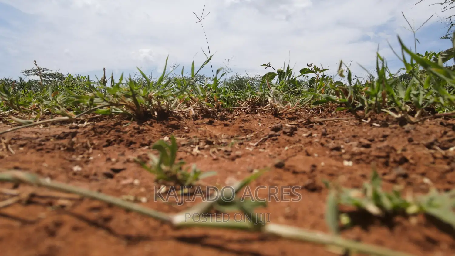 2.5 Acres Olkudate at 5.5m