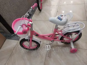 Girl Bicycle Size 12", Ladybird