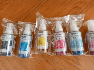 Original Catridges 673 EPSON