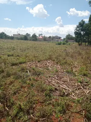 1/4 Plot Plus an 1/8 Plot One Title Kiplombe.