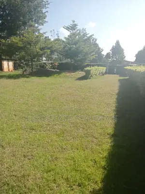 1/2 Acre Sogomo UOE With Two Bedroom House