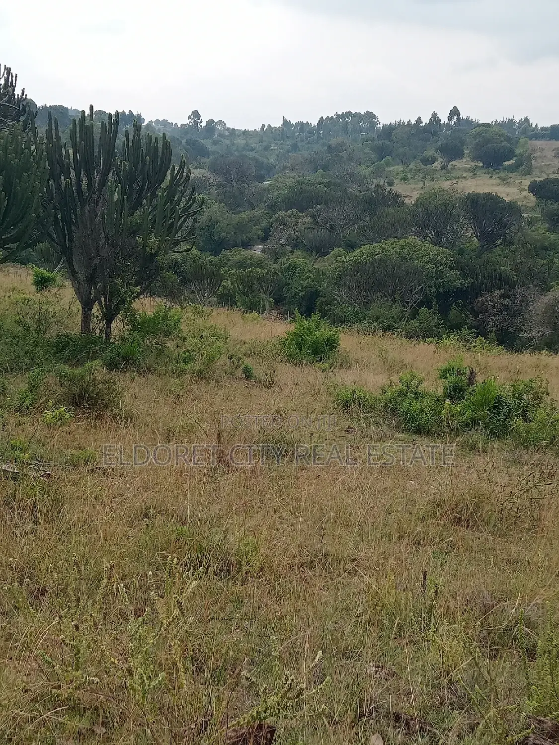 19 Acres Moiben Touching Permanent Flowing River