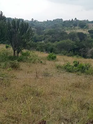 19 Acres Moiben Touching Permanent Flowing River