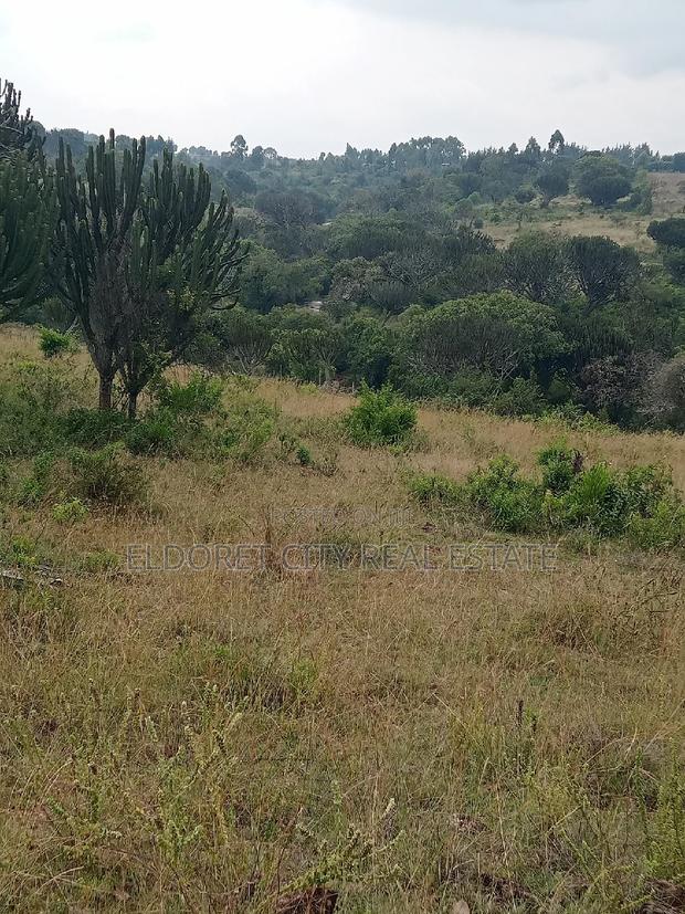 19 Acres Moiben Touching Permanent Flowing River - main view