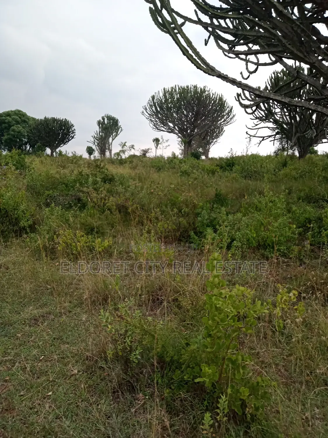 19 Acres Moiben Touching Permanent Flowing River
