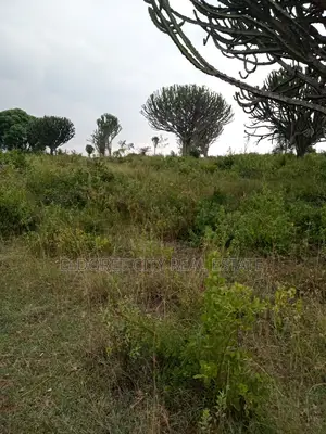 19 Acres Moiben Touching Permanent Flowing River