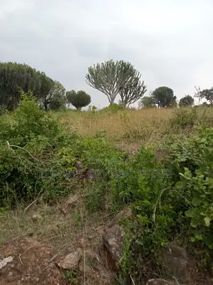 19 Acres Moiben Touching Permanent Flowing River