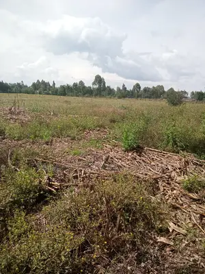 3 Acres Kaboi Kiplombe Route With Title