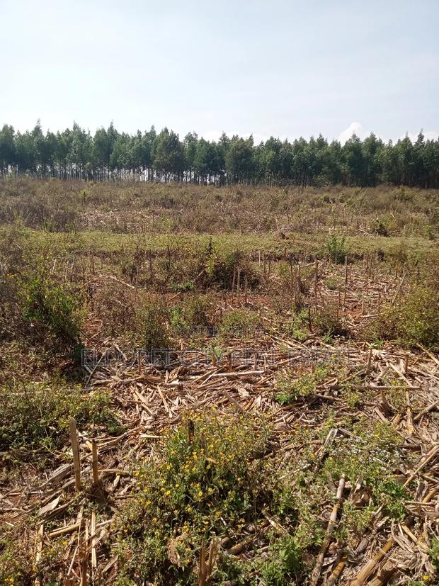 3 Acres Kaboi Kiplombe Route With Title - thumbnail 2