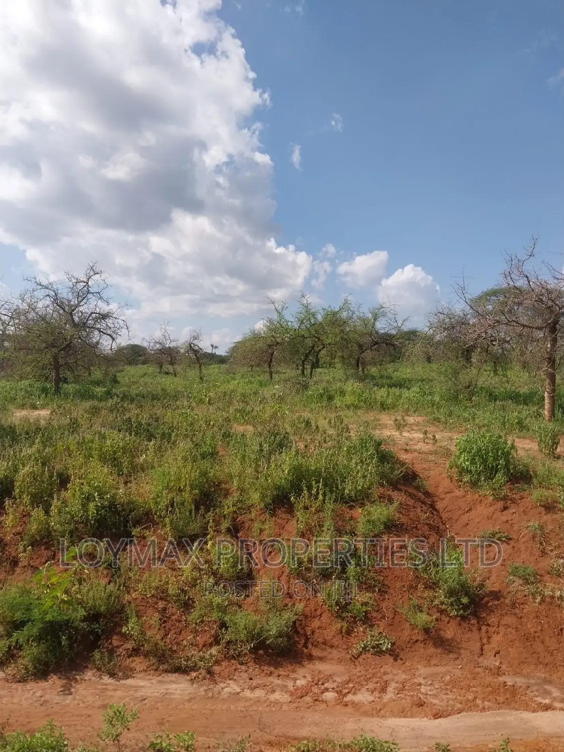 47 Acres Block on Sale in Mashuru Kajiado County
