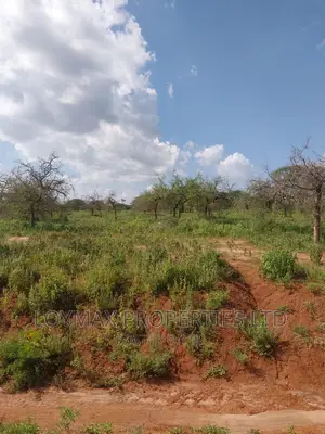 47 Acres Block on Sale in Mashuru Kajiado County