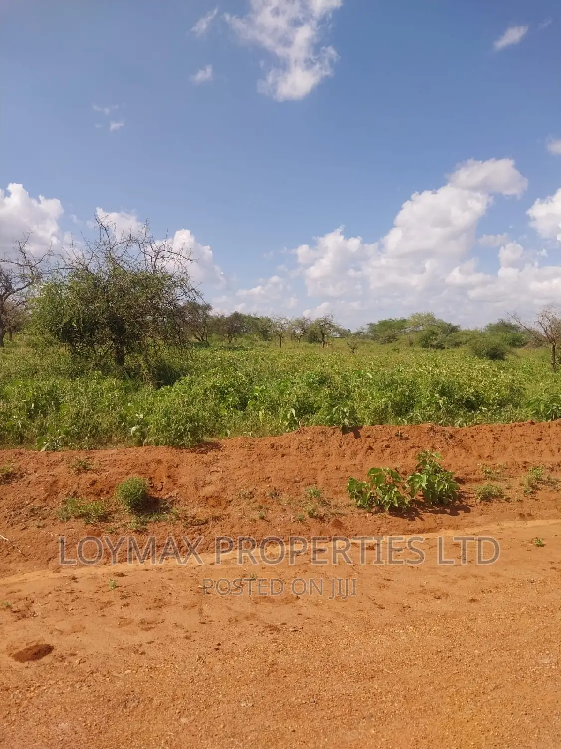 47 Acres Block on Sale in Mashuru Kajiado County