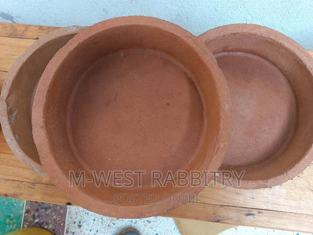 Feeding Pot Clay - thumbnail 4