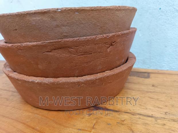 Feeding Pot Clay - thumbnail 5