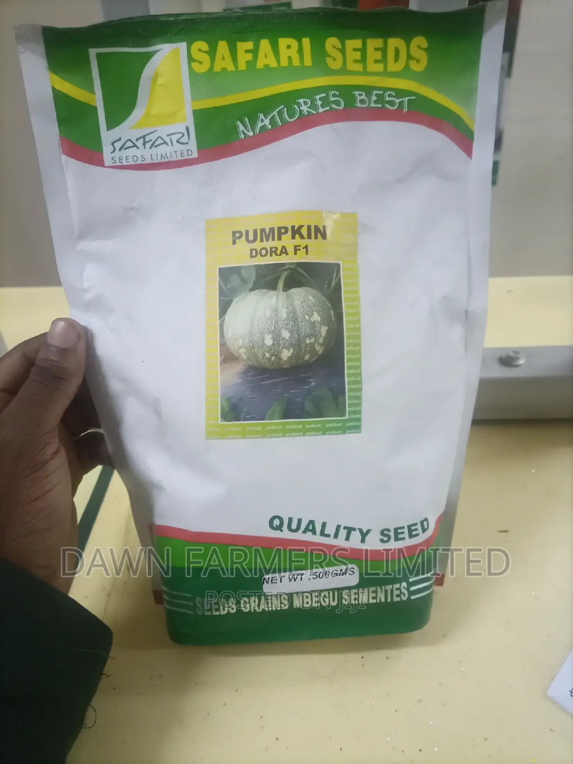Dora F1 Pumpkin 500gms