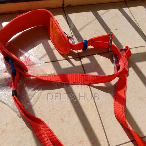 Work Safely Harness - main view