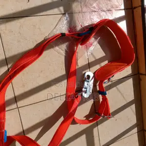 Affordable Work Safely Harness