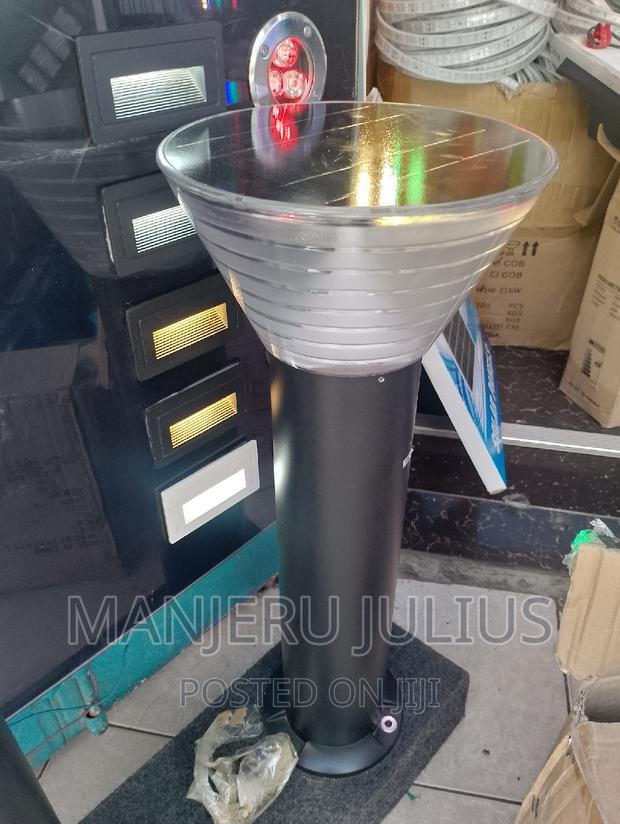 Solar Garden Lights