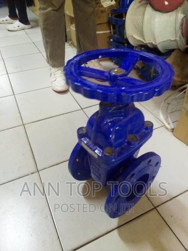 Sluice Valve 4 Inch