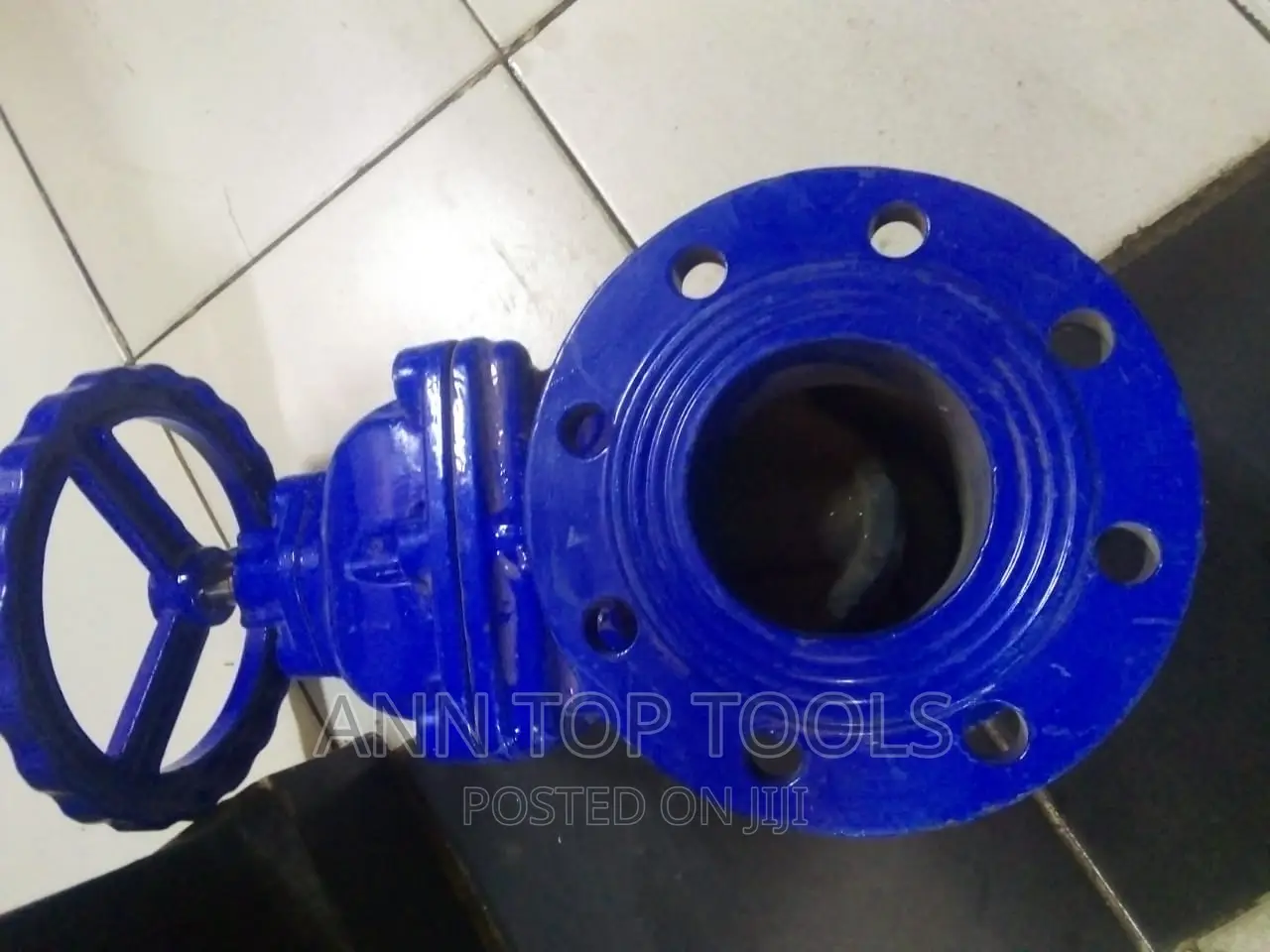 Sluice Valve 4 Inch