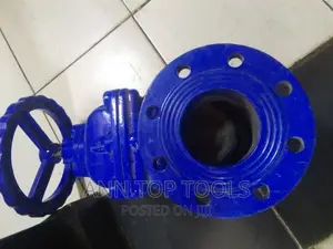 Sluice Valve 4 Inch