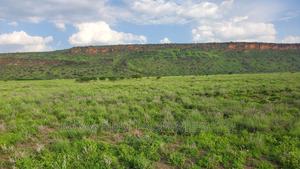 One Acres for Sale in Tinga/Oletepesi - thumbnail 2