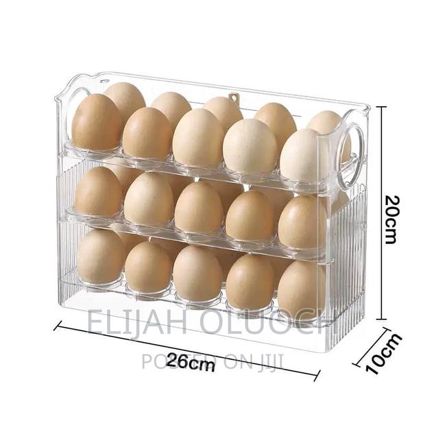 3layer Aclyric 30 Egg Syorage Fridge Box