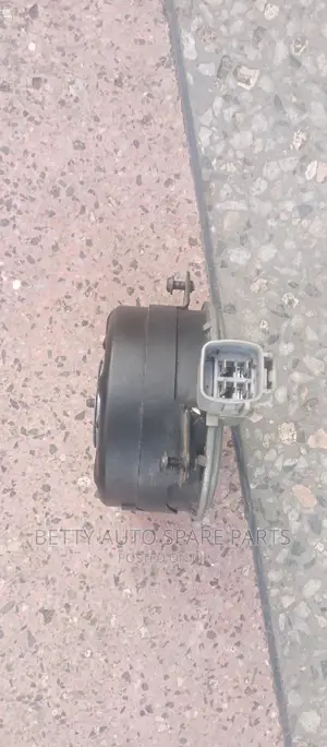 Toyota Passo Fun Radiator Motor
